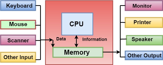Computer Basics